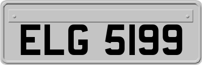 ELG5199
