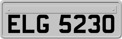 ELG5230