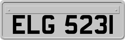 ELG5231