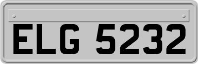ELG5232