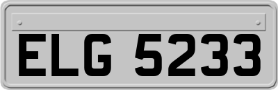 ELG5233