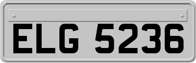 ELG5236