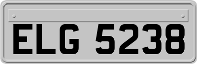 ELG5238