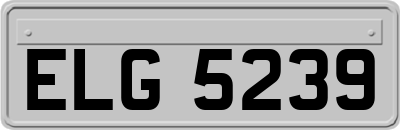 ELG5239