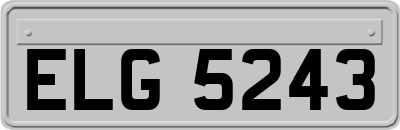 ELG5243