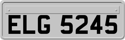 ELG5245
