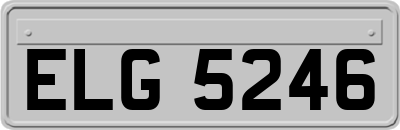 ELG5246