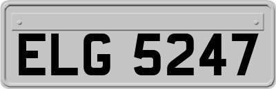 ELG5247