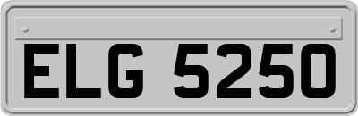 ELG5250