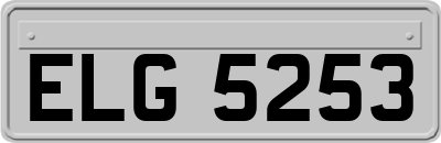 ELG5253