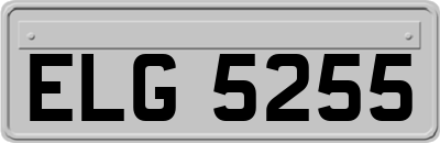 ELG5255