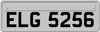 ELG5256