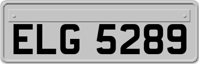 ELG5289