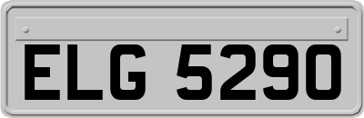 ELG5290