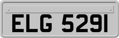 ELG5291