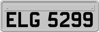 ELG5299