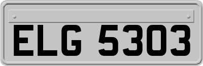ELG5303