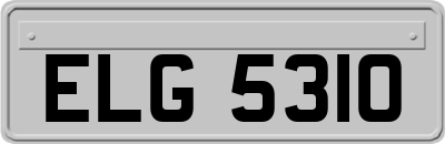 ELG5310