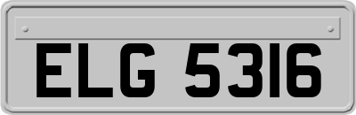 ELG5316
