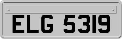 ELG5319