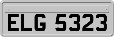 ELG5323