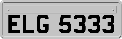 ELG5333