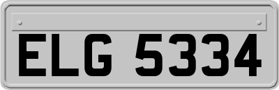 ELG5334