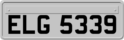 ELG5339
