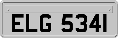 ELG5341