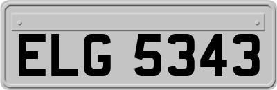ELG5343