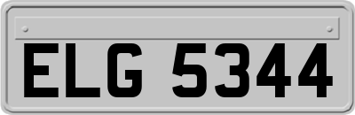 ELG5344