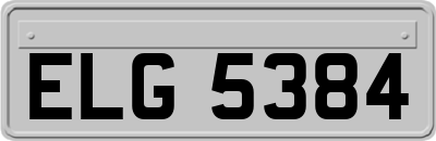 ELG5384
