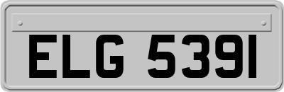 ELG5391