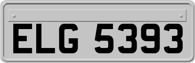 ELG5393