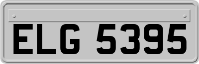 ELG5395