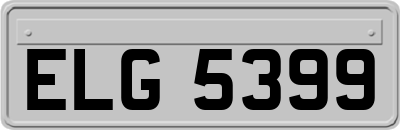 ELG5399