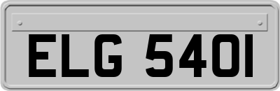 ELG5401
