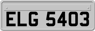 ELG5403