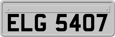 ELG5407