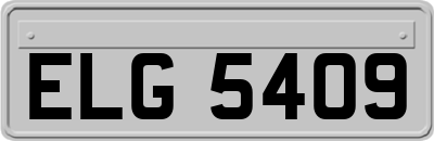 ELG5409