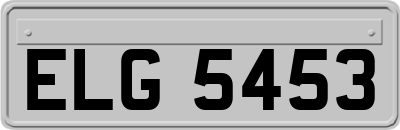 ELG5453