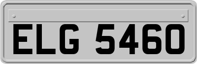 ELG5460