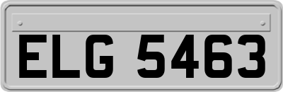 ELG5463