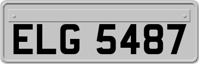 ELG5487
