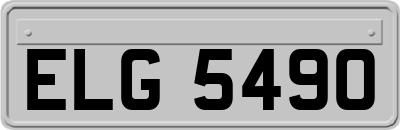 ELG5490