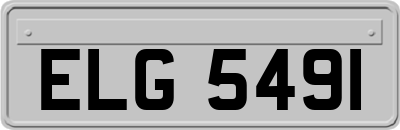 ELG5491