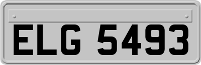 ELG5493