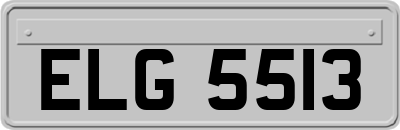 ELG5513