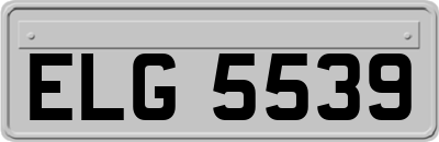 ELG5539
