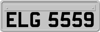 ELG5559